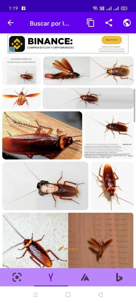 buscar por imagen a una persona